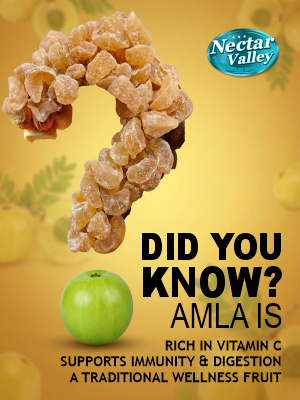 Nectar Valley Amla Candy 250g – Tangy & Sweet, Rich in Vitamin C & Antioxidants