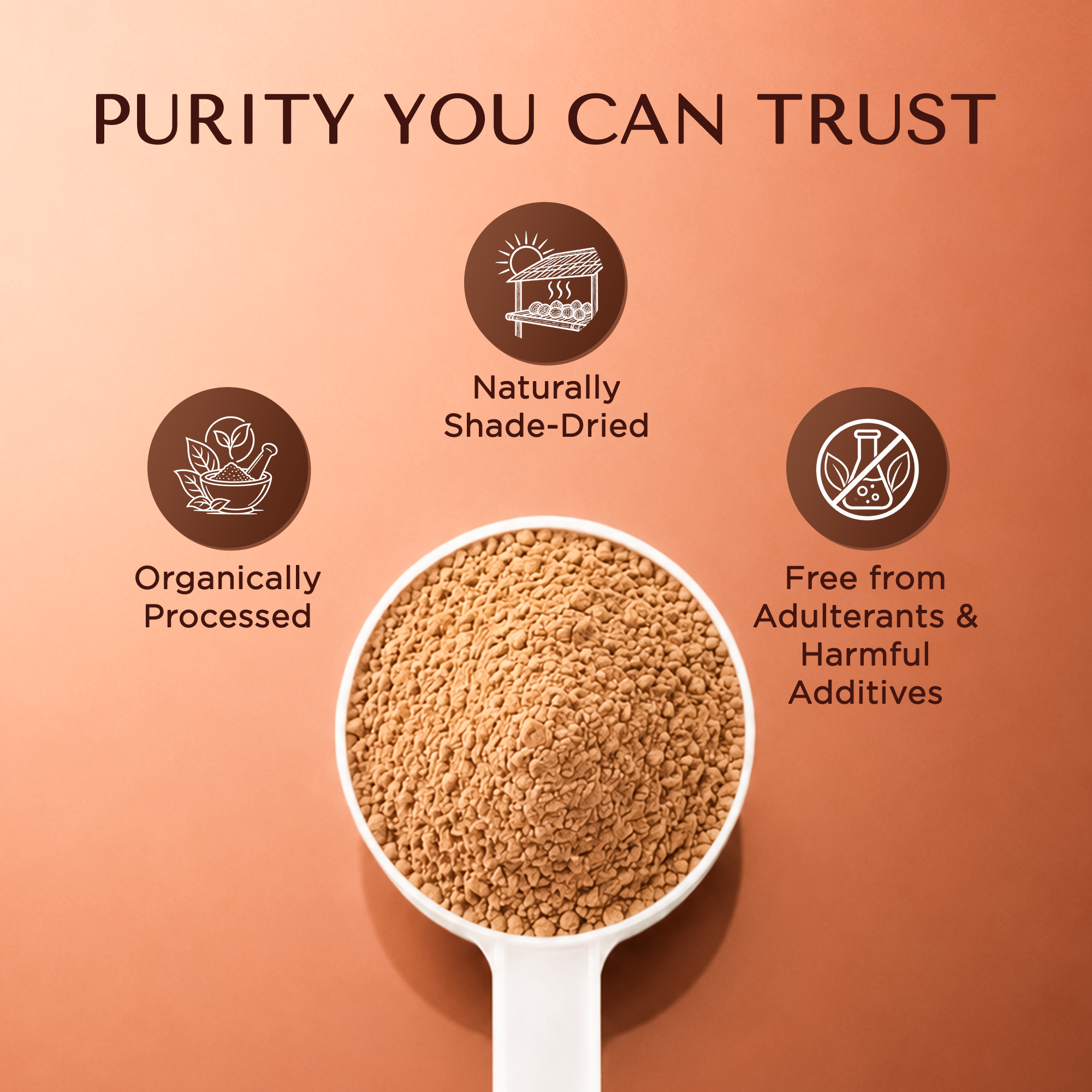 Bionii Arjuna Powder 200g – Organically Processed Arjuna Bark Powder for Herbal Tea & Topical Use