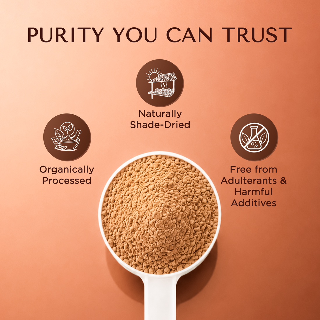 Bionii Arjuna Powder 200g – Organically Processed Arjuna Bark Powder for Herbal Tea & Topical Use