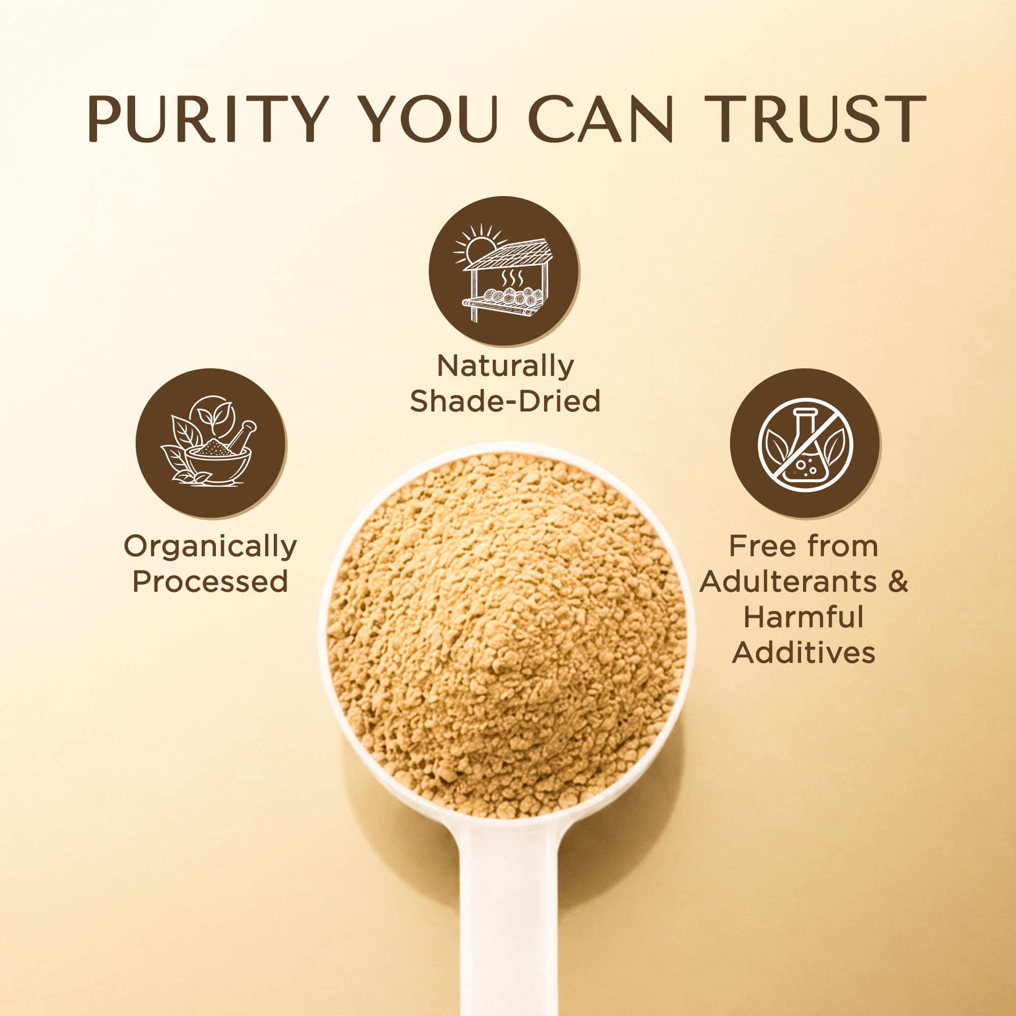 Bionii Ashwagandha Powder 200g – Organically Processed Ashwagandha Root Powder for Herbal Tea & Topical Use