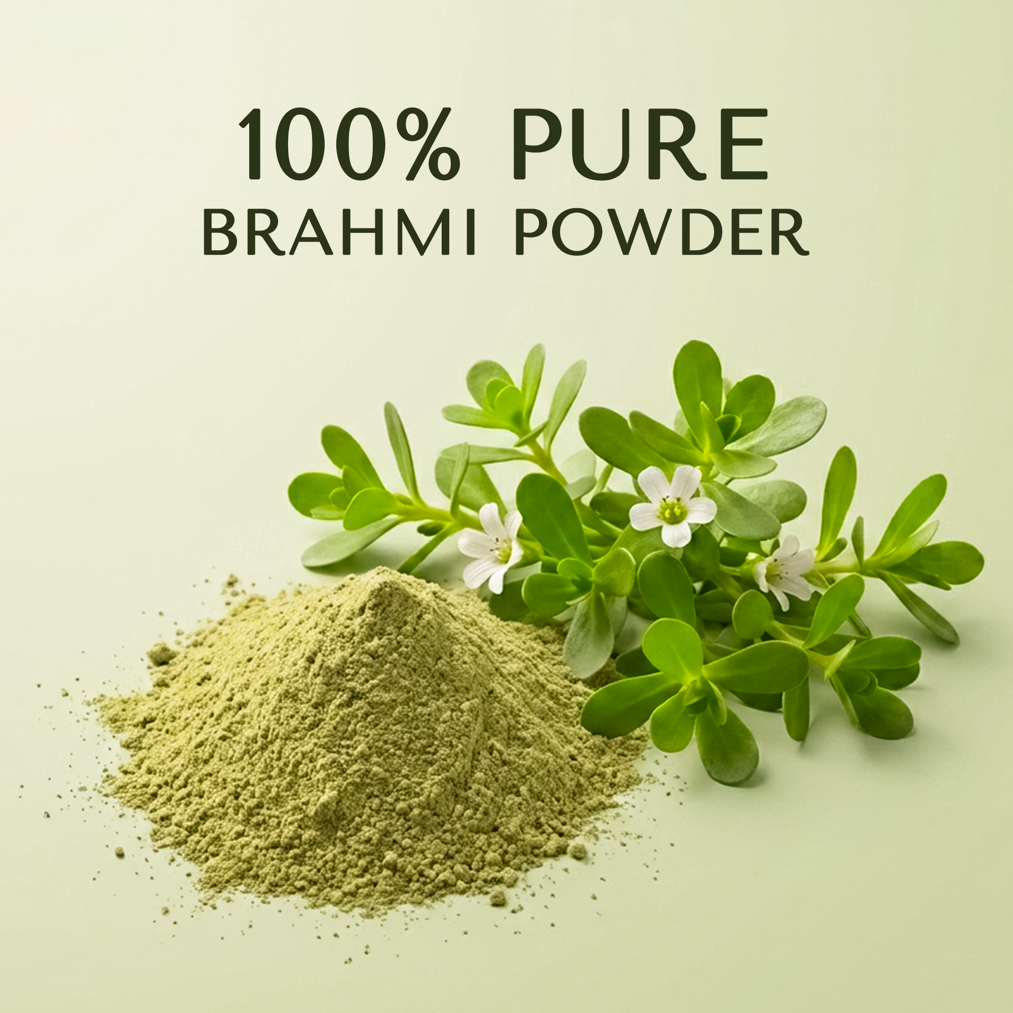 Bionii Brahmi Whole Plant Powder 200g – Organically Processed Brahmi Leaves Powder for Herbal Tea & Topical Use