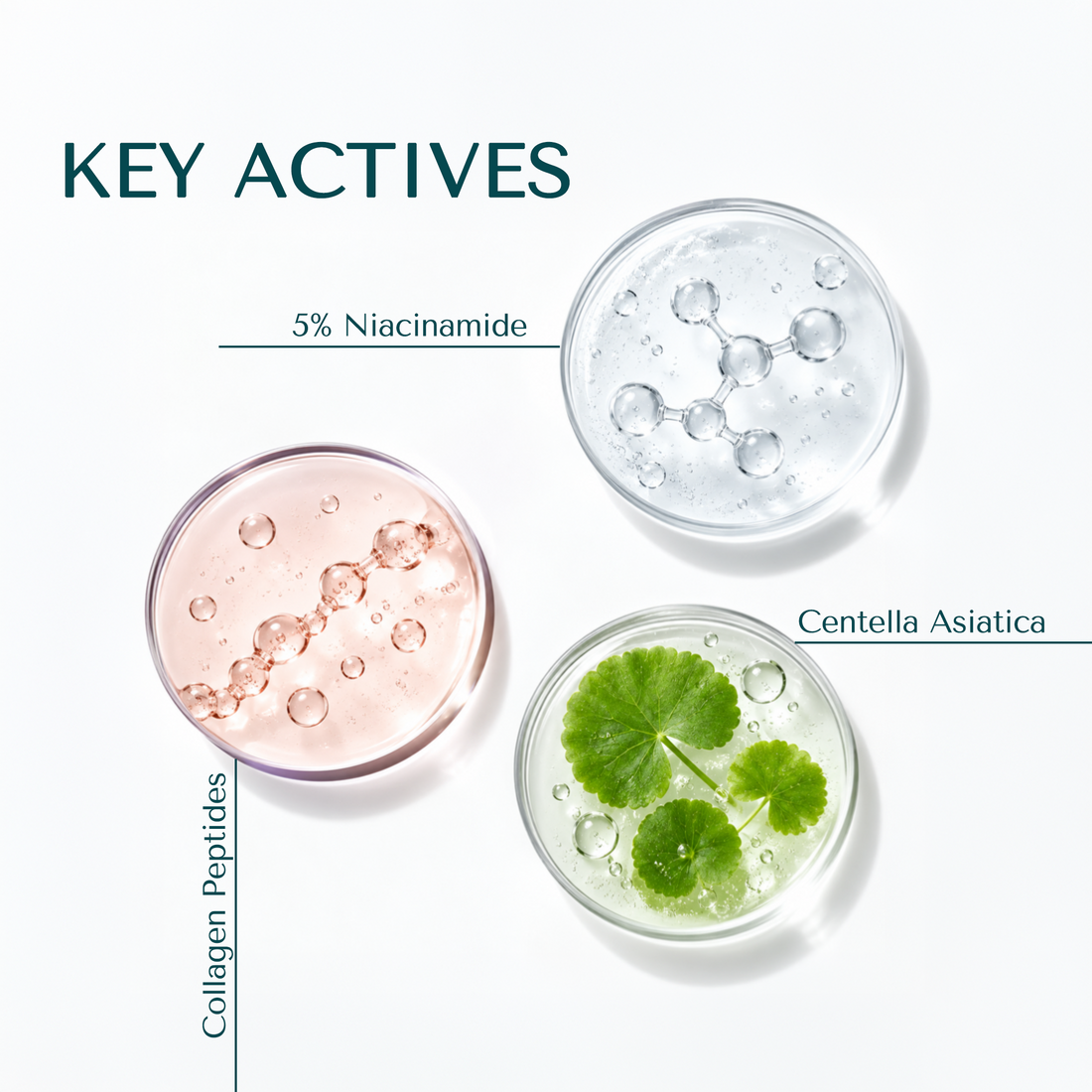 Bionii Elatix-FW Elasticity-Boosting & Firming Gel Face Wash – With 5% Niacinamide, Collagen Peptides & Centella Asiatica | Micro-Gel Technology