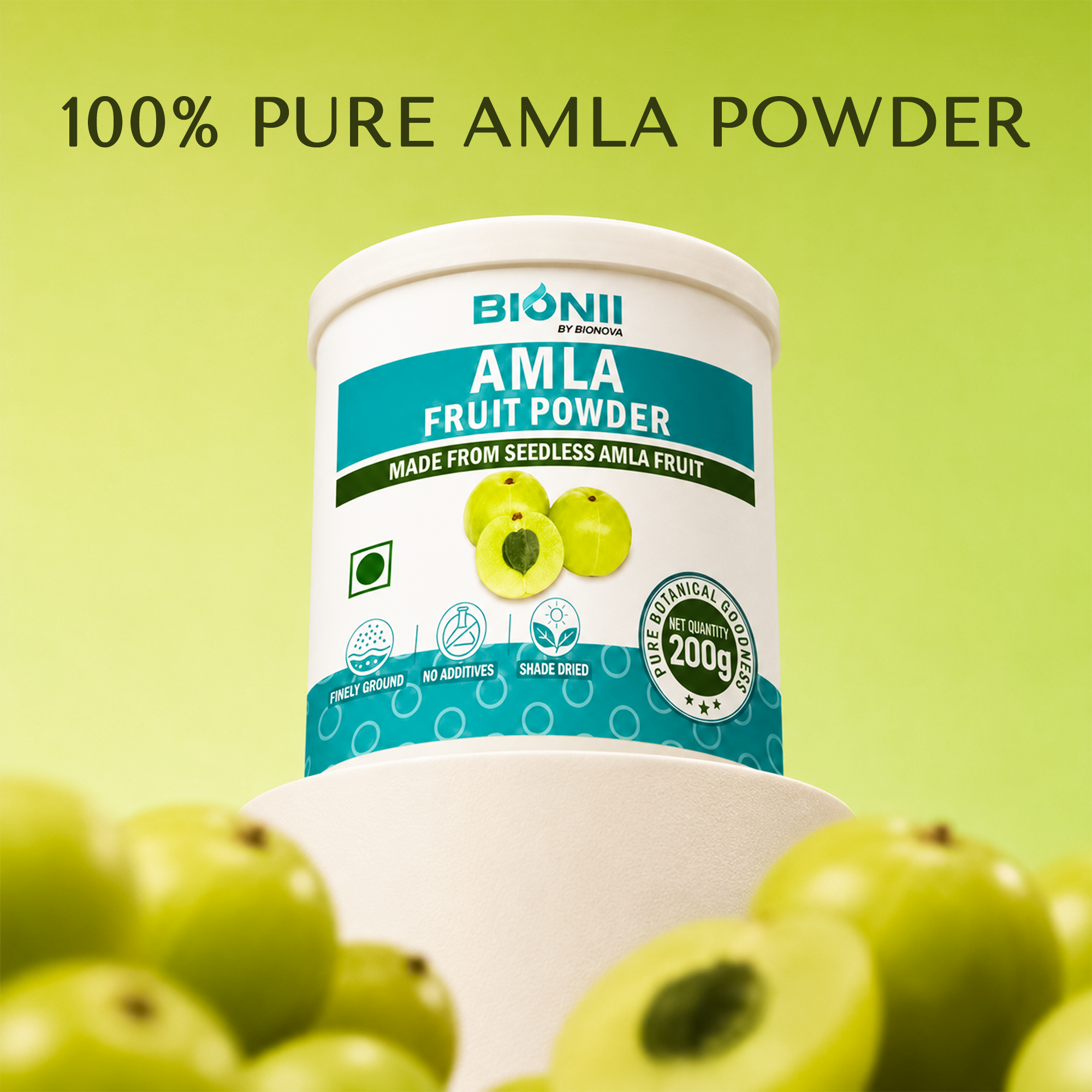 Seedless Amla Powder 200g – Pure, Shade-Dried & Finely Ground