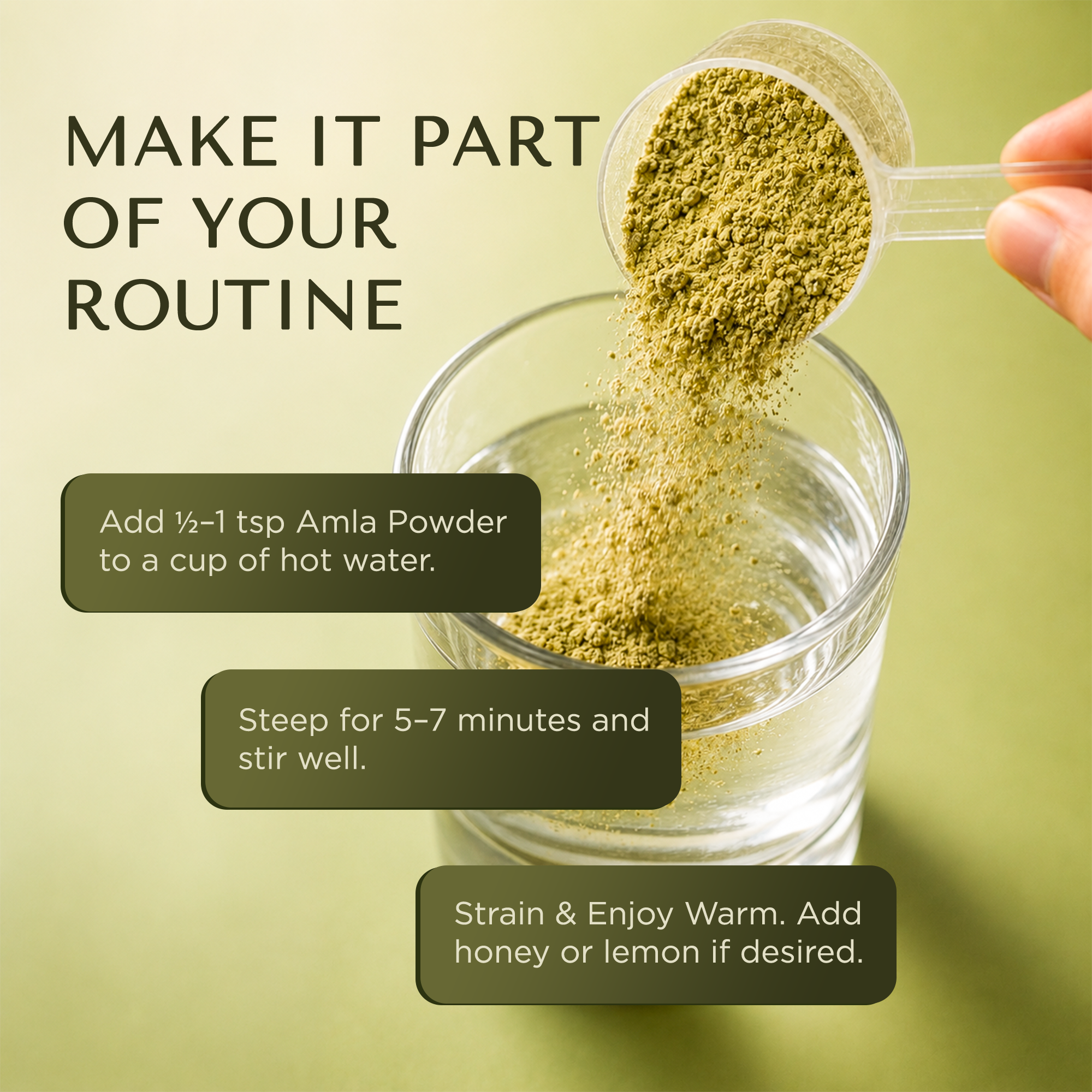 Seedless Amla Powder 200g – Pure, Shade-Dried & Finely Ground
