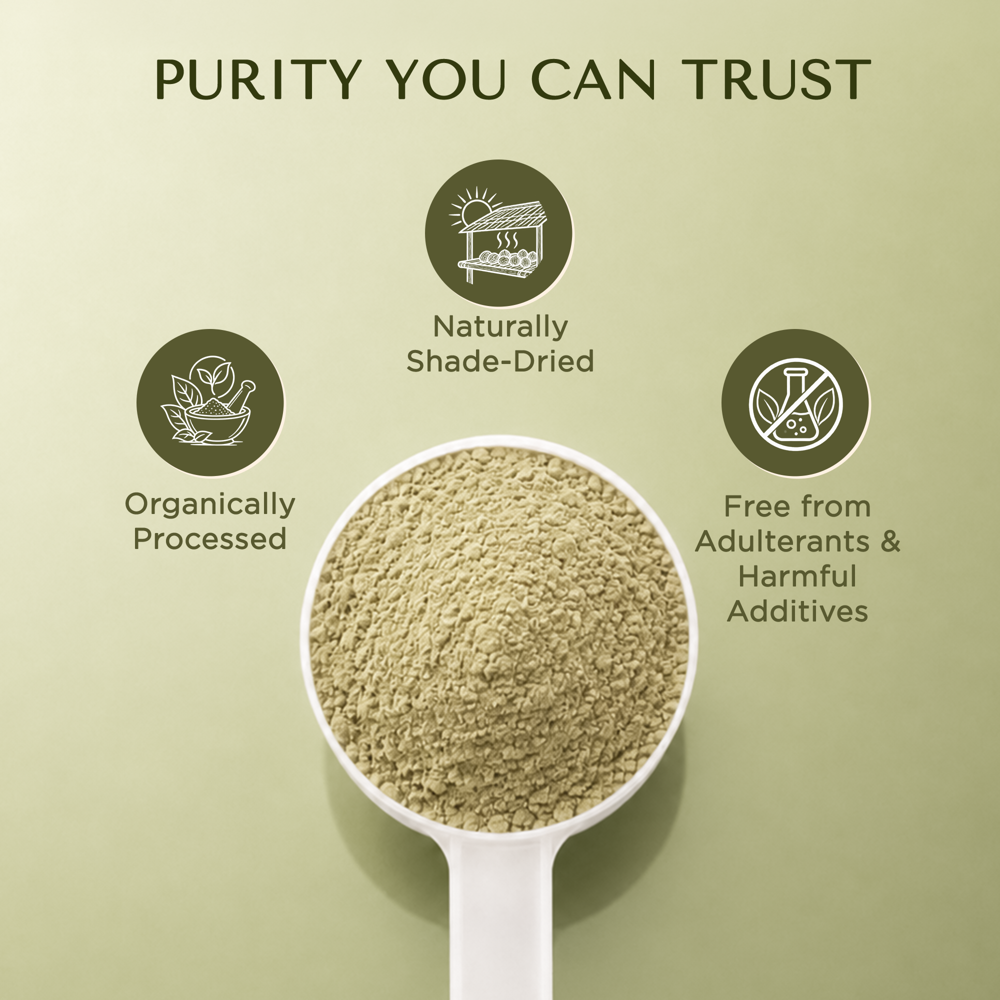 Seedless Amla Powder 200g – Pure, Shade-Dried & Finely Ground