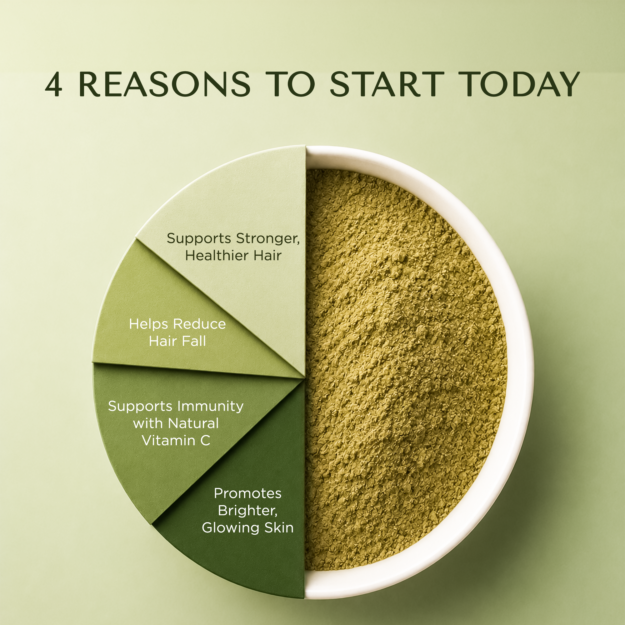 Seedless Amla Powder 200g – Pure, Shade-Dried & Finely Ground